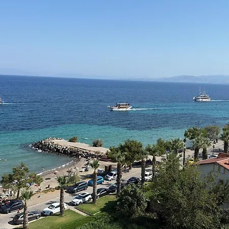 Vivelle Guzelcamlı