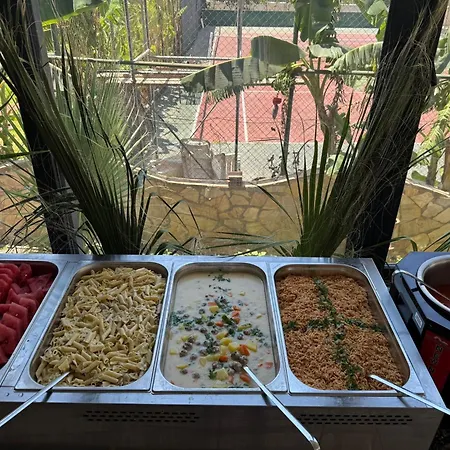 Vivelle 4* Guzelcamlı